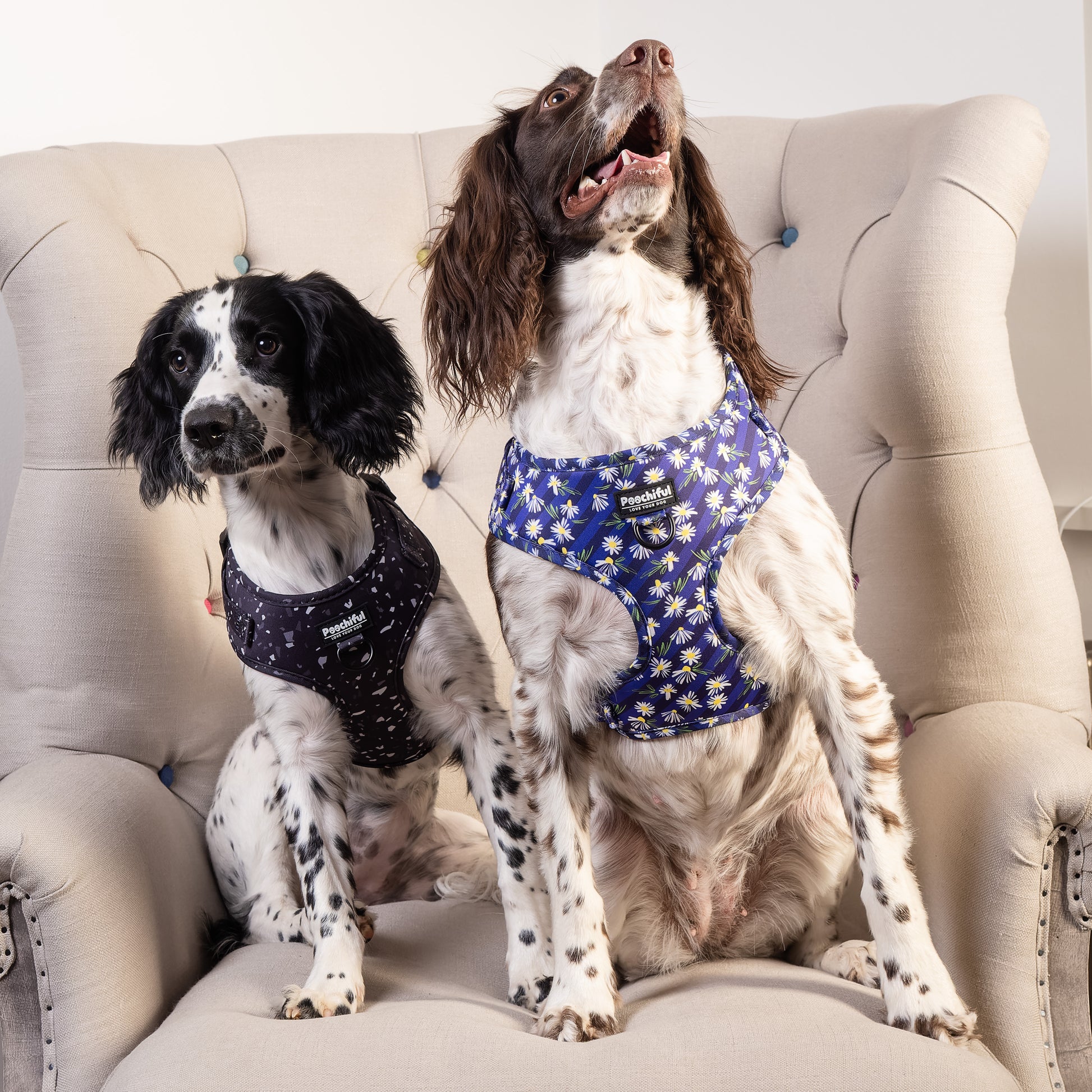 Adjustable Harness Bundle - Twilight - Black Friday Deal - £12.99