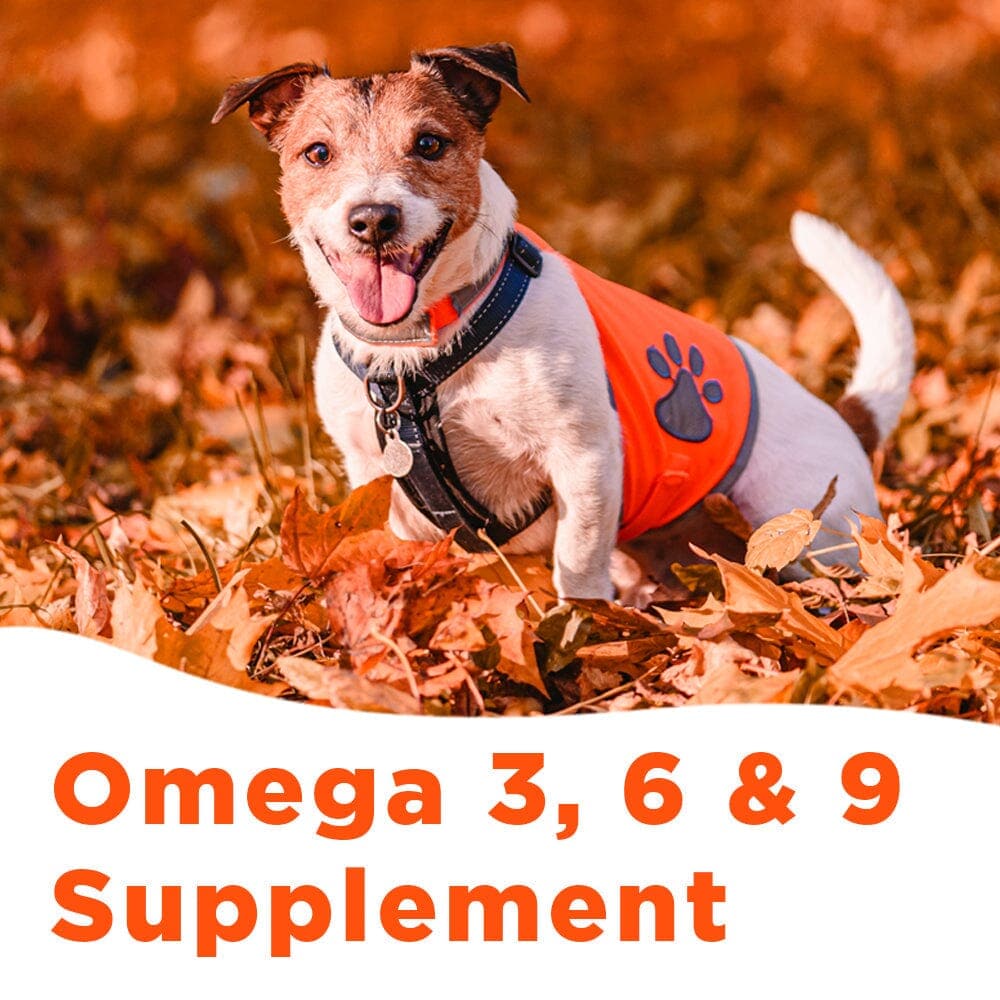 Pooch & Purr - Salmon Oil - 1L