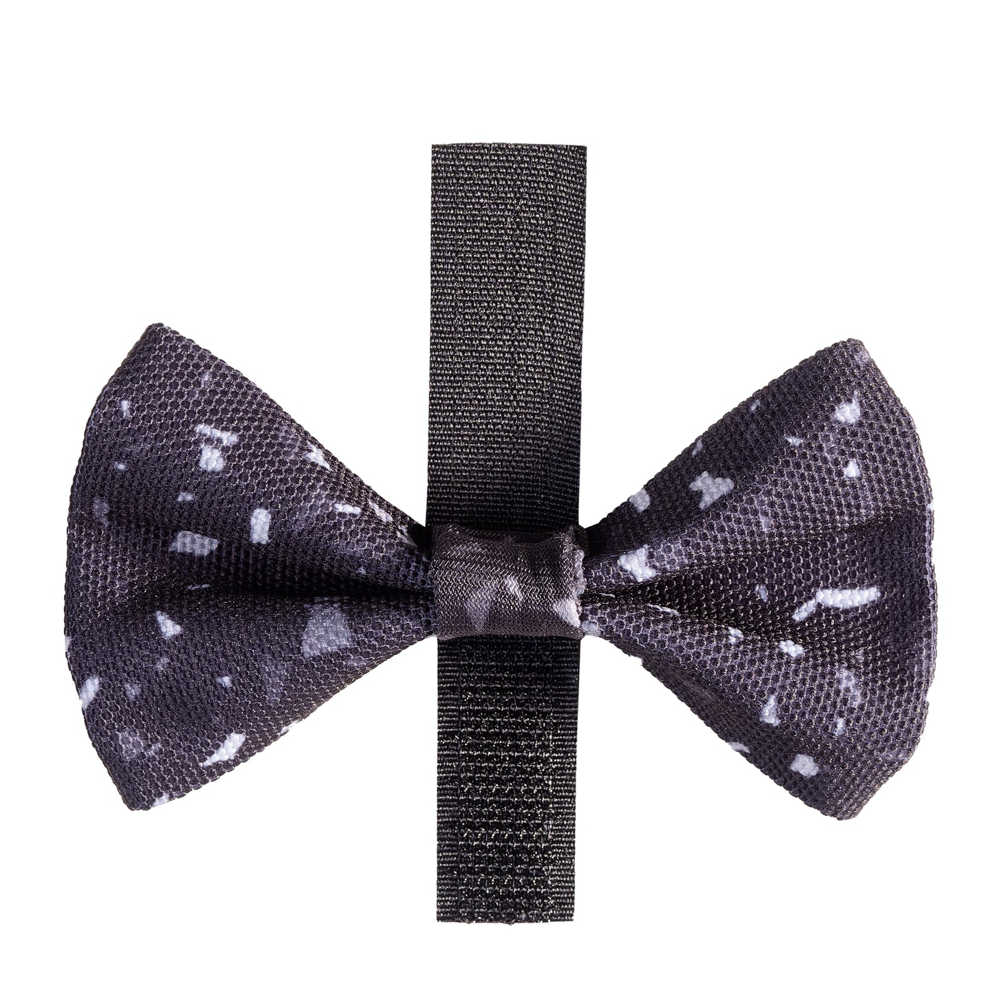 Dog Collar - Twilight