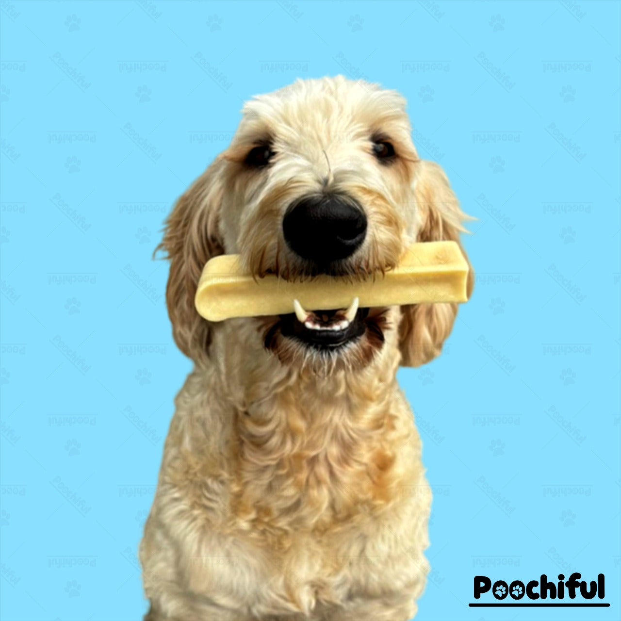 Dog Chew Product