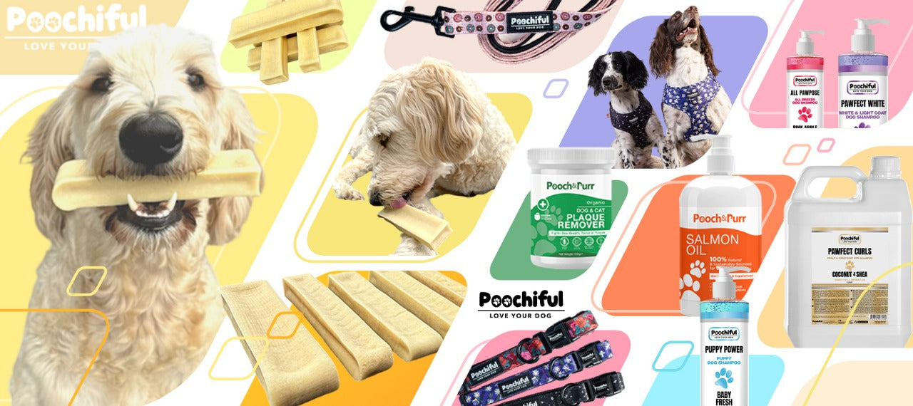 Buy Dog Chew Product