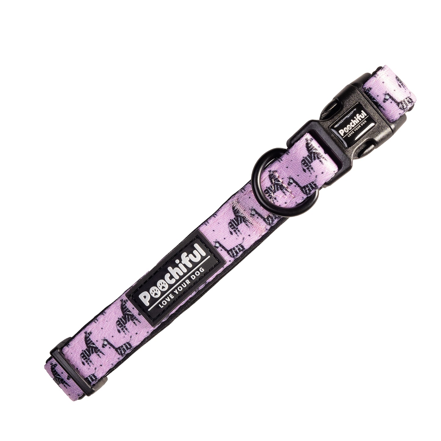 Dog Collar - Zee Zee Zebra Lilac Edition