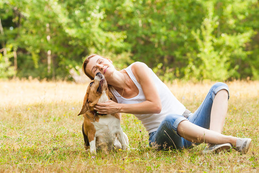 Dog Joint Care Guide: Boost Health with Smart Choices