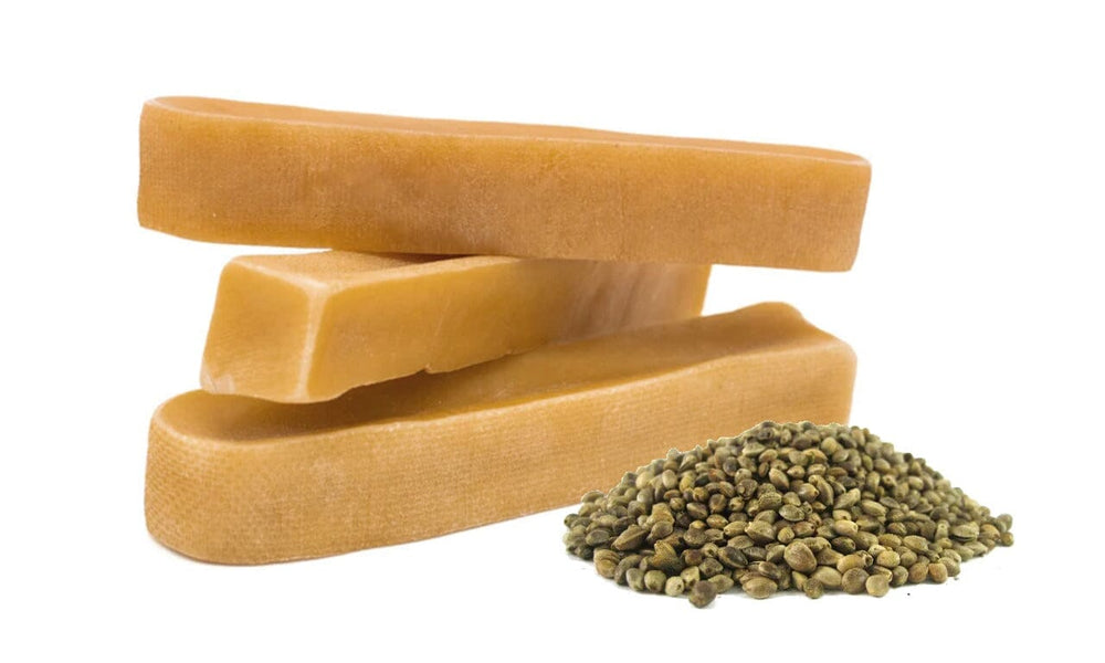 Discover the Benefits of Hemp Seed-Infused Yak Chews for Dogs