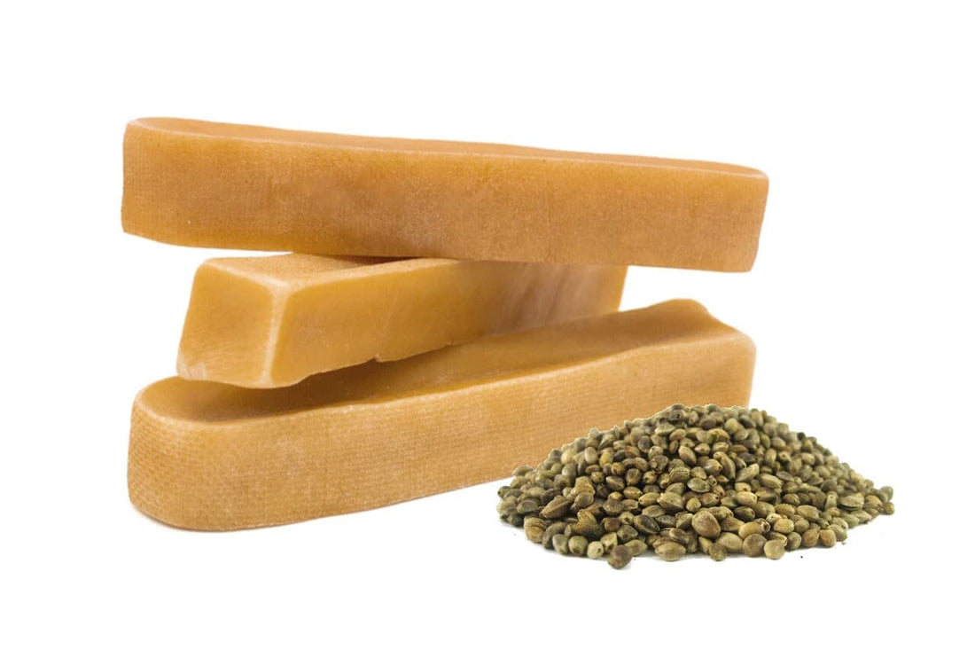Discover the Benefits of Hemp Seed-Infused Yak Chews for Dogs