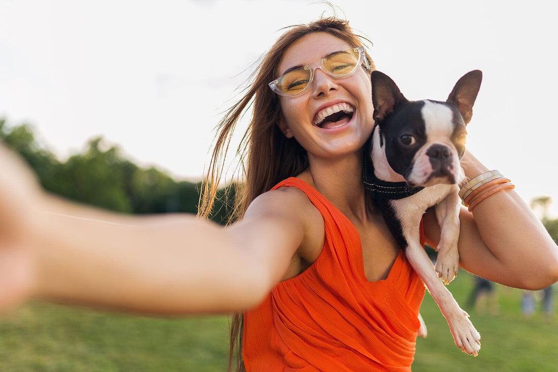 How to Deal With a Dog’s Itchy Skin?