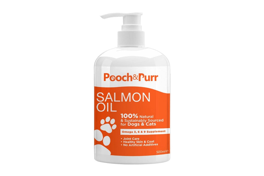 Salmon Oil for Dogs, Cats and Horses