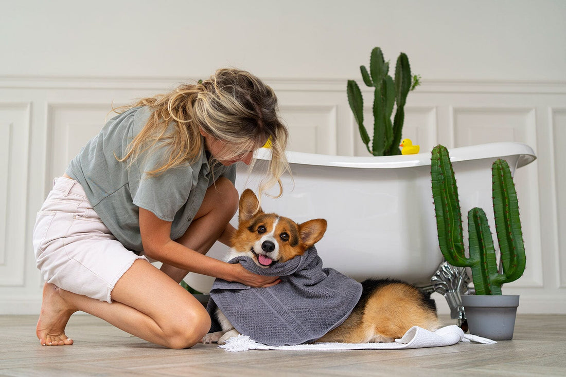 Choosing The Best Flea & Tick Shampoo for Dogs
