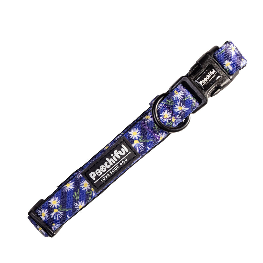 Daisy Delight dog collar