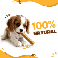 Wallace & Gromit - Small Long-Lasting Single Cheese Bones (35 - 45g) (e)
