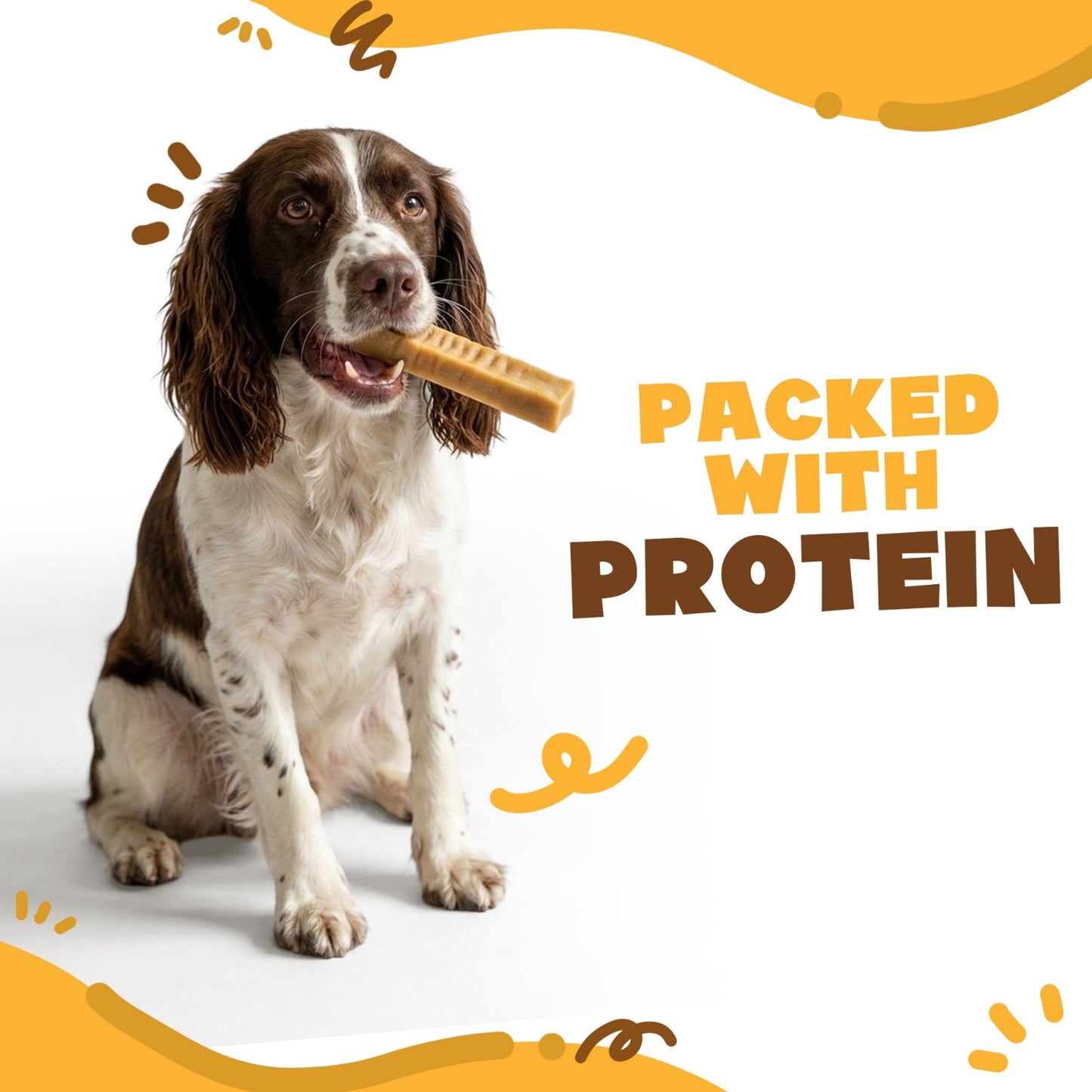 Wallace & Gromit - Medium Long-Lasting Single Cheese Bones (65 - 75g) (e)