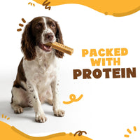 Wallace & Gromit - Medium Long-Lasting Single Cheese Bones (65 - 75g) (e)