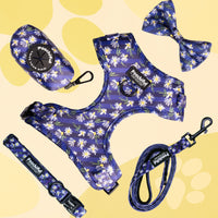 Adjustable Harness Bundle - Daisy Delight