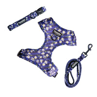 Adjustable Harness Bundle - Daisy Delight