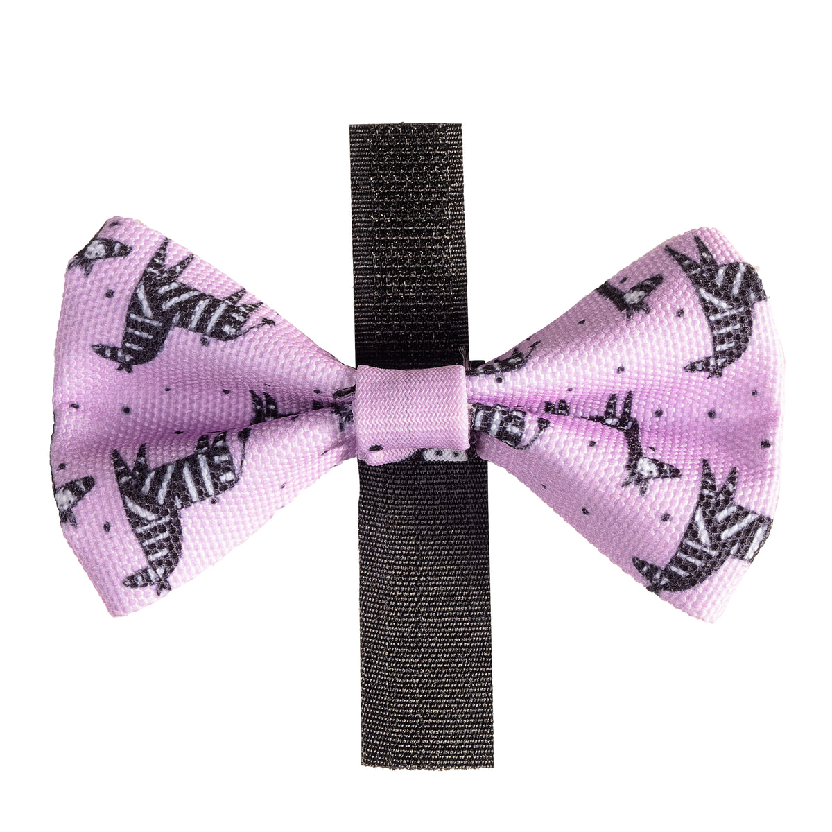 Dog Collar - Zee Zee Zebra Lilac Edition
