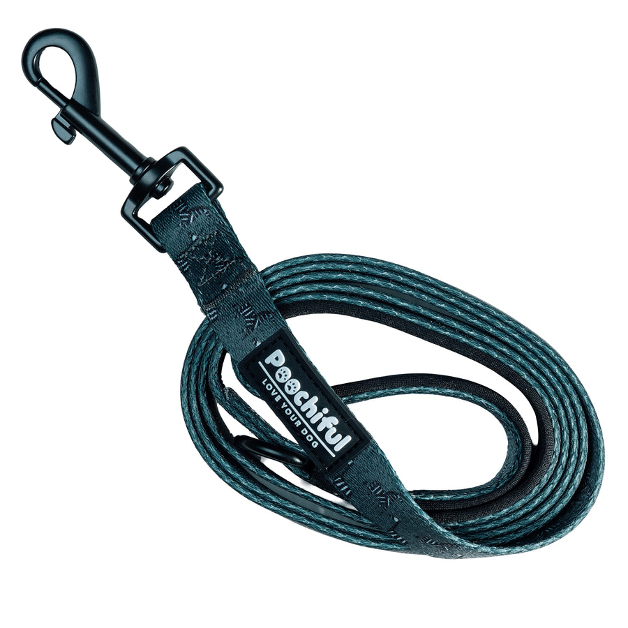 Dog Lead - Zee Zee Zebra Green Edition