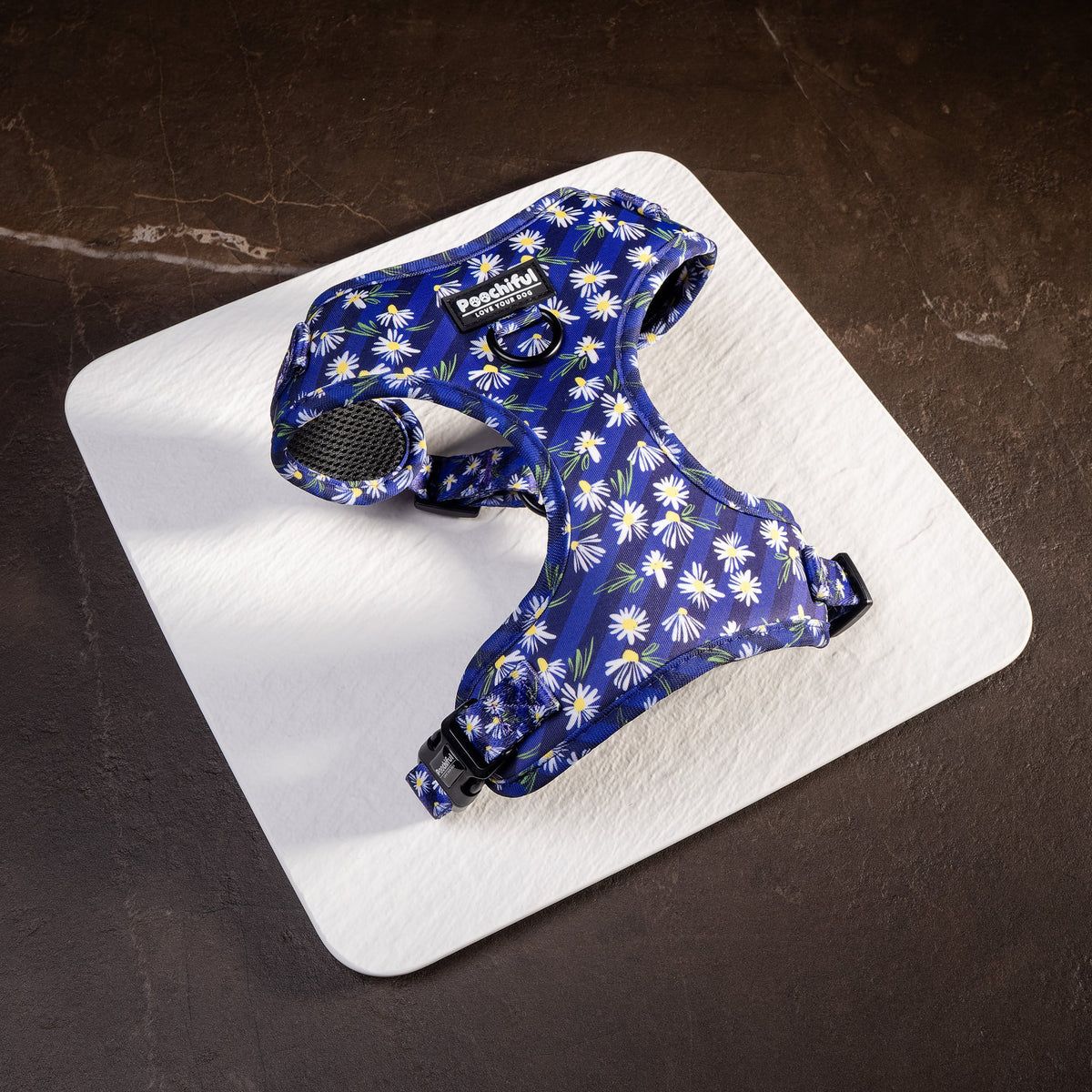 Daisy Delight adjustable dog harness on a slate board