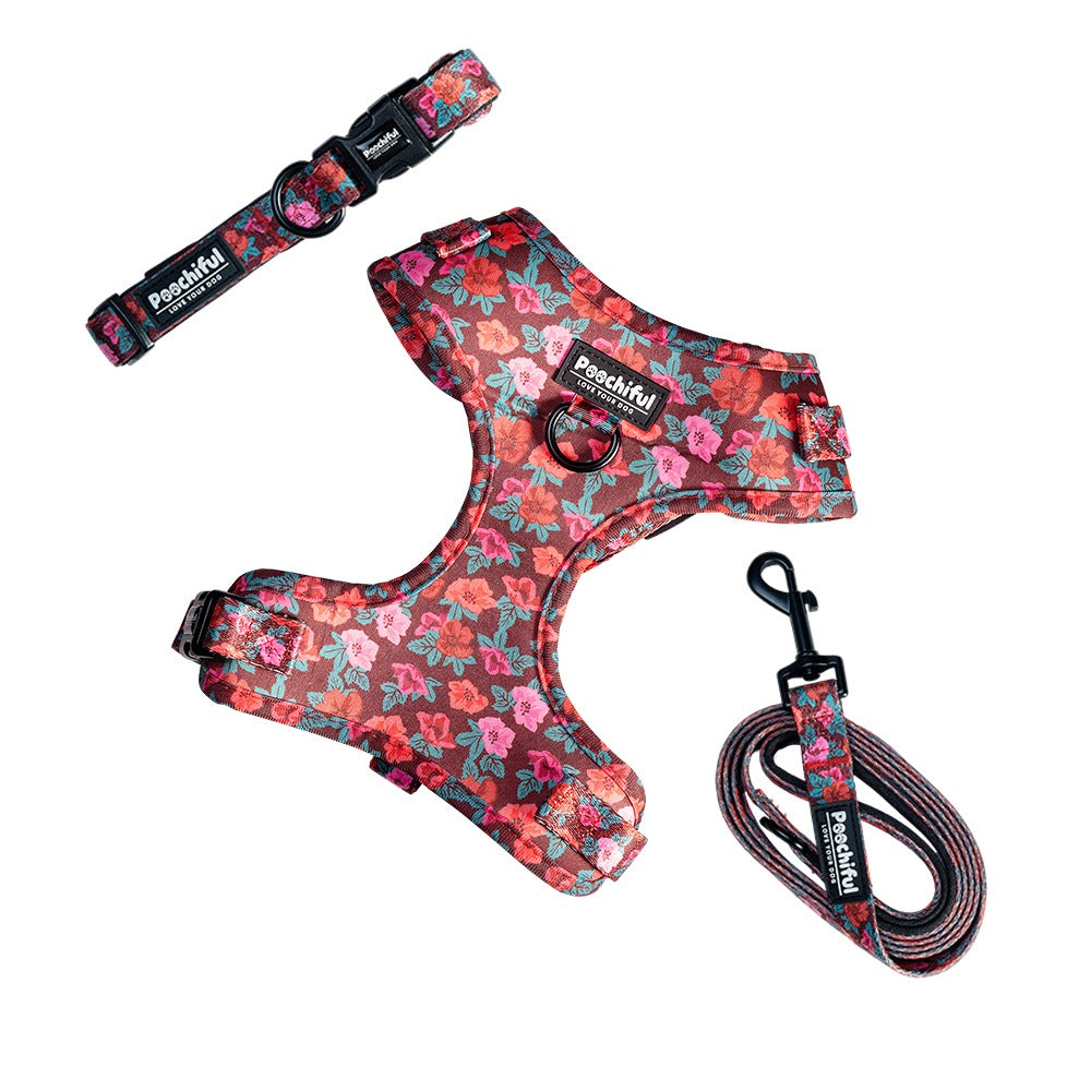 Enchanted Rose harness, collar and lead set