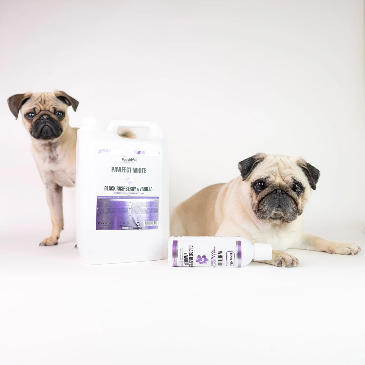Two pugs with Poochiful Pawfect White Black Raspberry & Vanilla dog shampoo in 5L and 500ml bottles