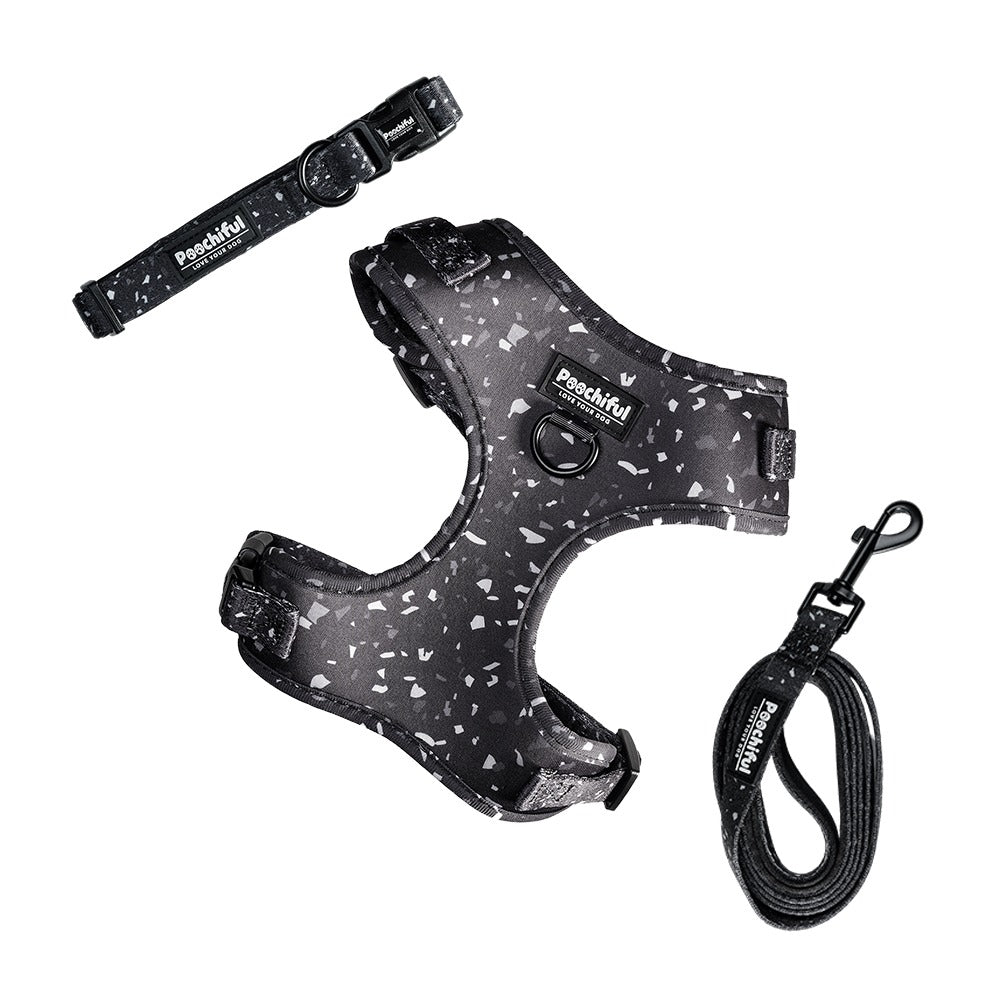 Twilight harness, collar and lead set
