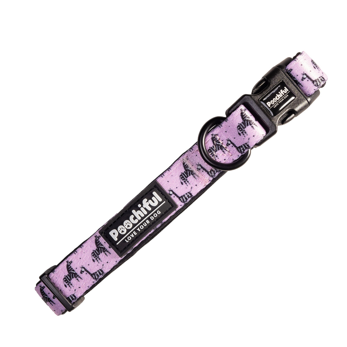 Zee Zee Zebra Lilac dog collar