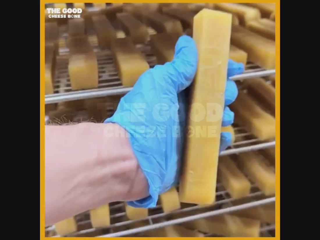 How our cheese bones for dogs are handmade in the UK, plus dogs enjoying their long-lasting chew